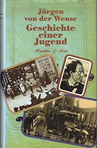 Geschichte einer Jugend: Tagebücher und Briefe von Matthes & Seitz Verlag